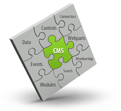 CMS for developers