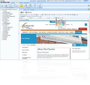 CMS Screen Shot