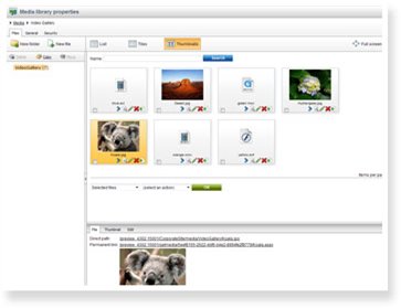 Insert images, movies, music and YouTube video; automatically resizes Image Editor